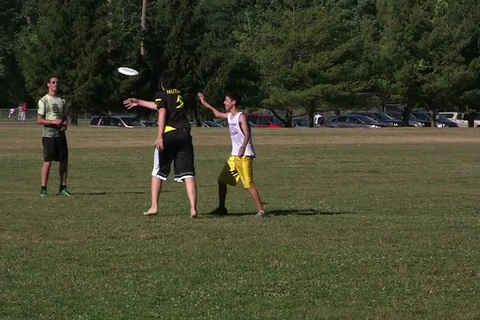 Frisbee in the wind