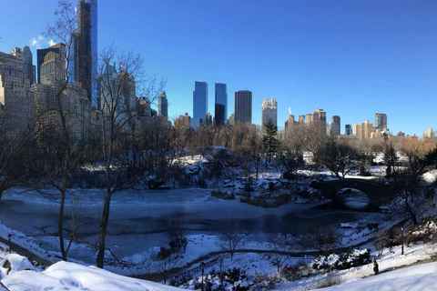 NYC Central Park panorama
