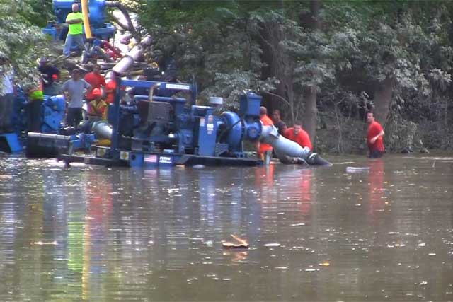 Rotterdam clean-up